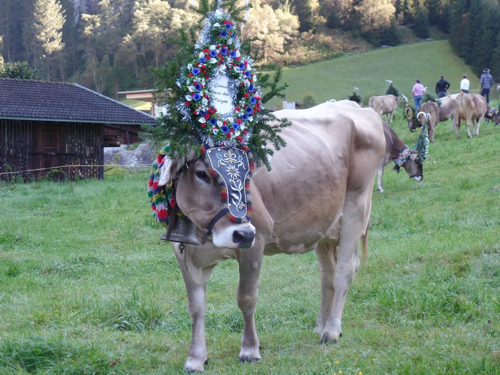 Larchergut Mayrhofen Kültér fotó